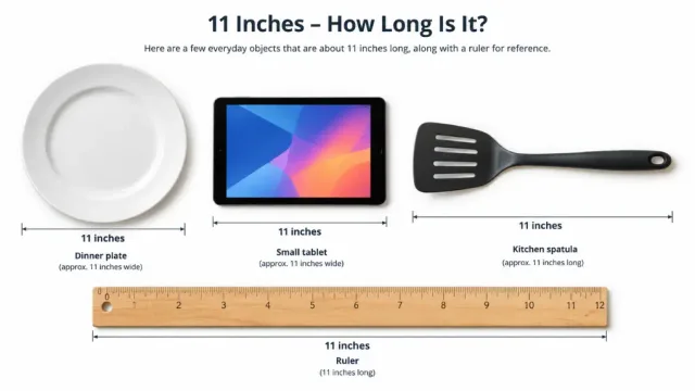 11-inch ruler with everyday objects for size comparison.